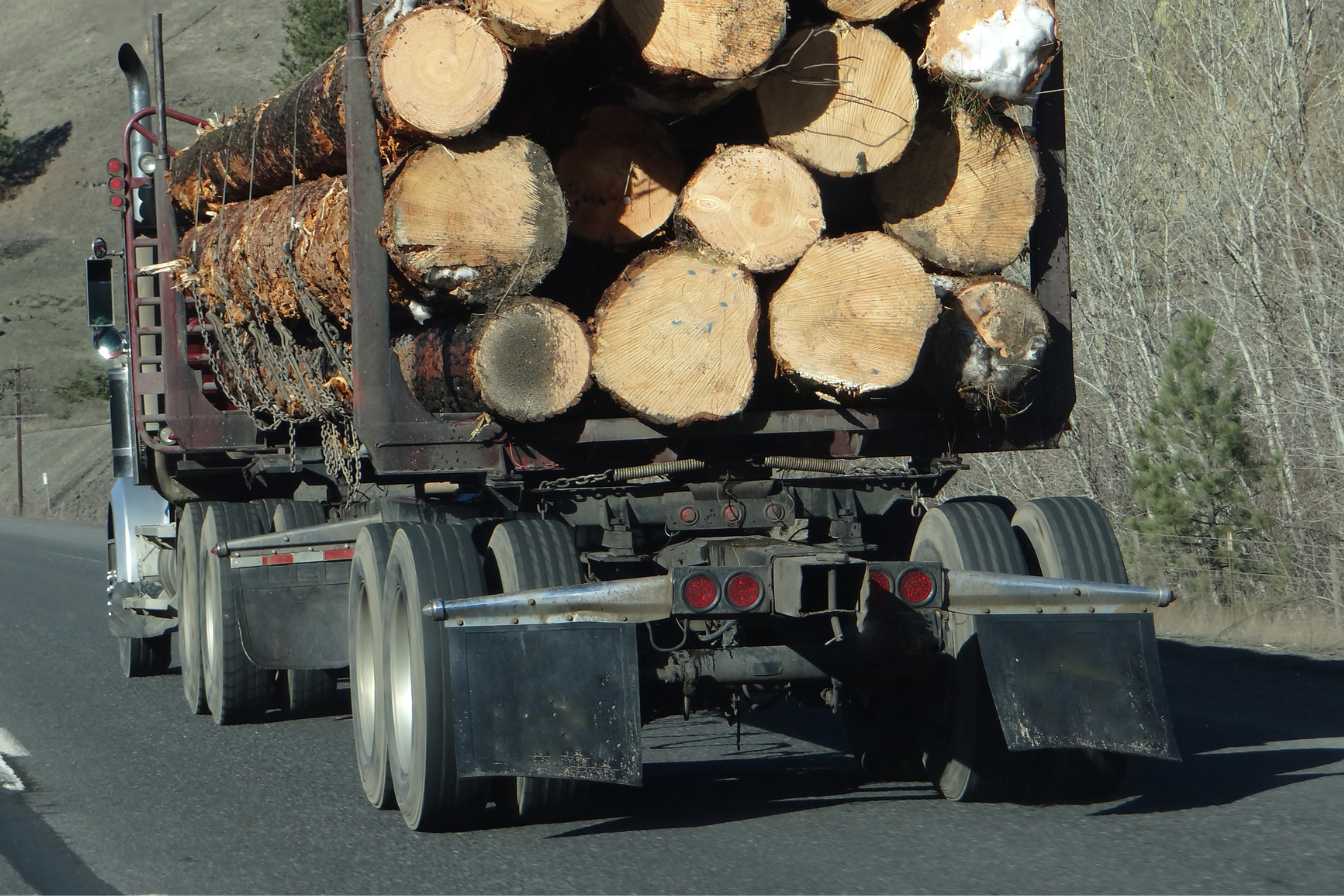 prix d un camion de grumes de bois 1